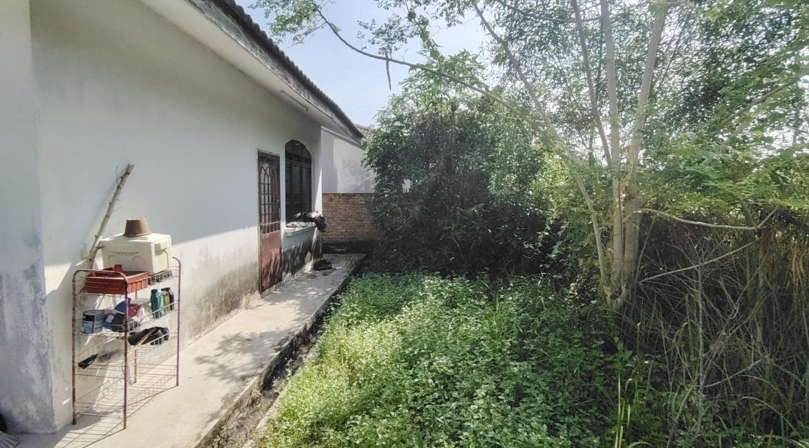 515439040_1329948499130831_5366055621160752456_n