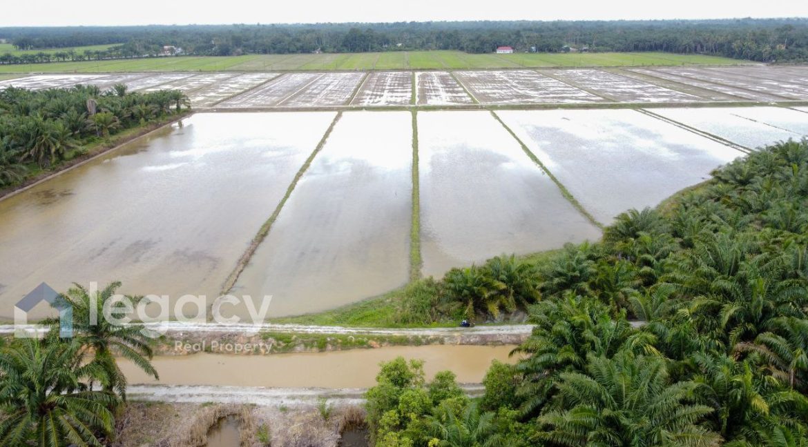 05d5349a-699d-4afb-99ea-641d756683d7