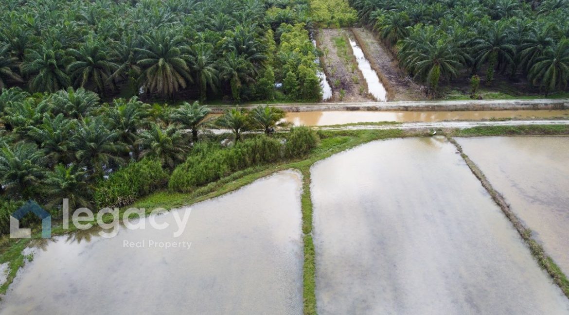 13d9d704-590a-4bb1-9ff0-9d51ab52888c