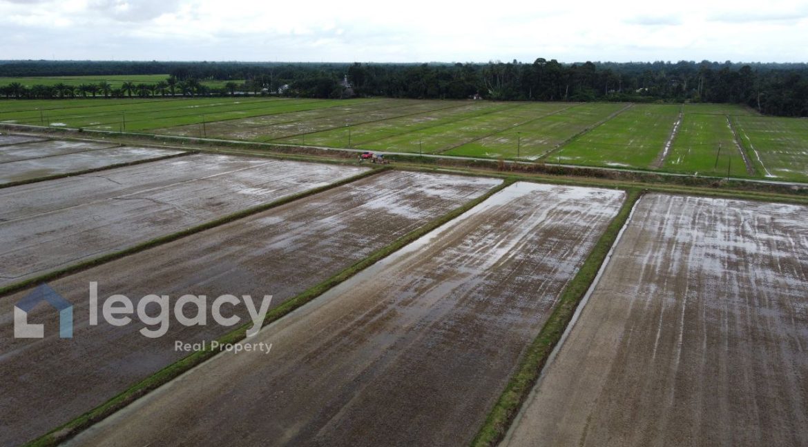 1b9037fe-36fa-4547-9873-2a28206a343c