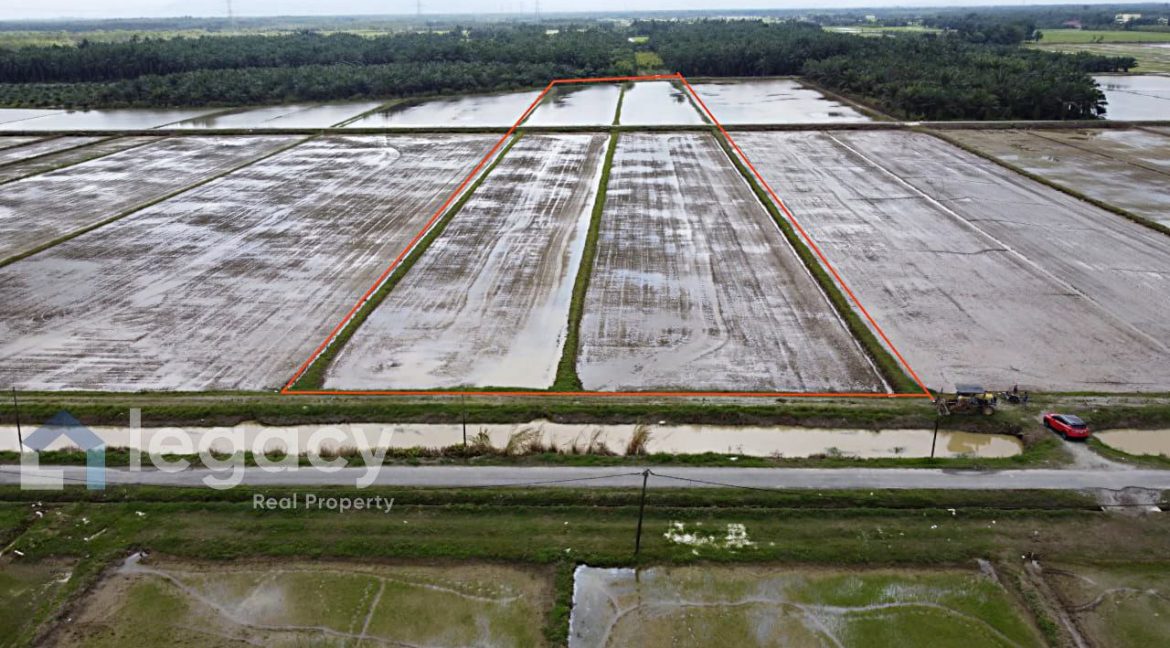 44a59b9b-5148-4c68-b41e-bd534ddf9a23