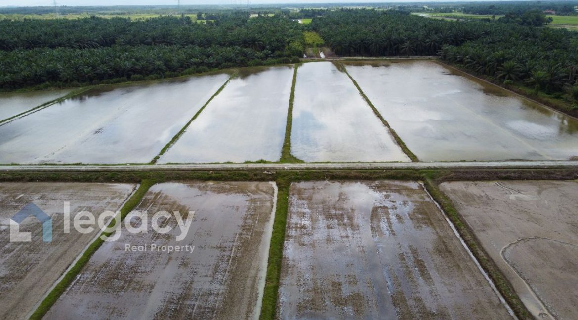 5c58c0d6-0670-4636-8a68-ef1af52285e9