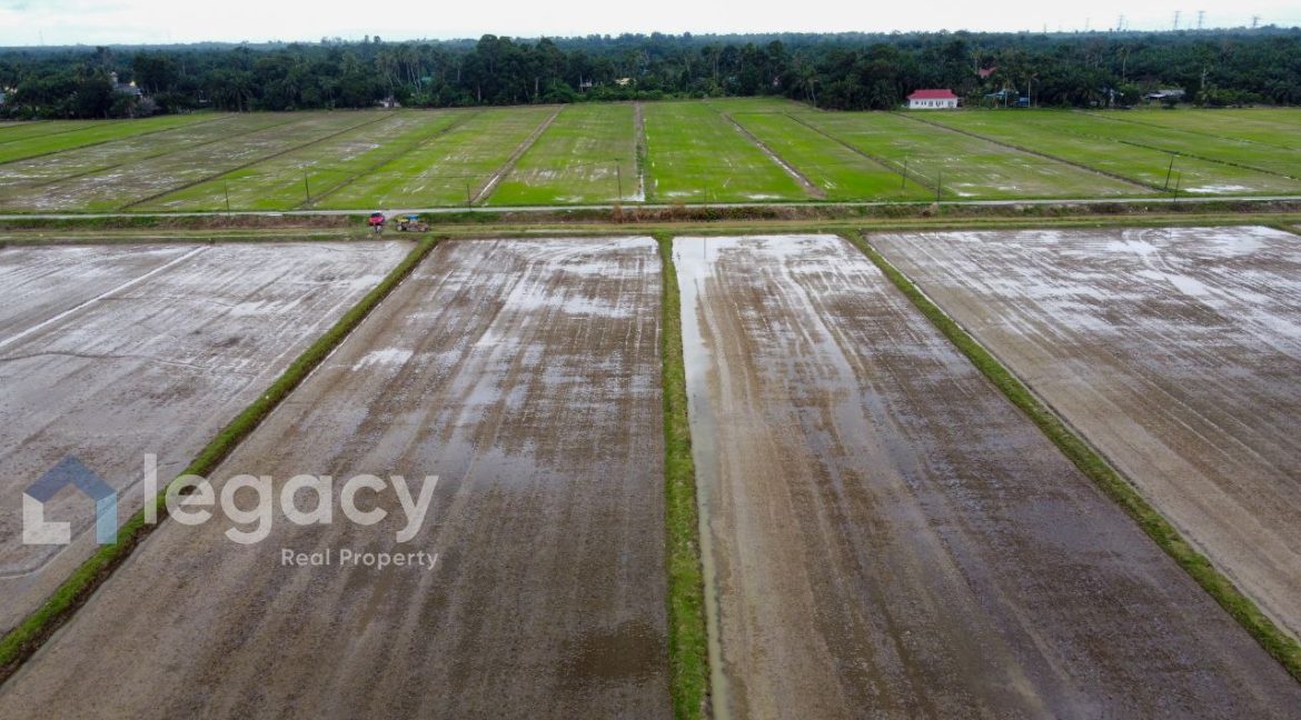 5ff13079-4ab3-4998-a934-f312ce9ec32f