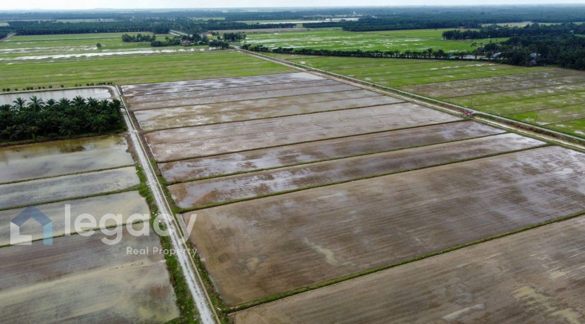 70fc4136-9da8-4406-8ba4-b3749c2c5686