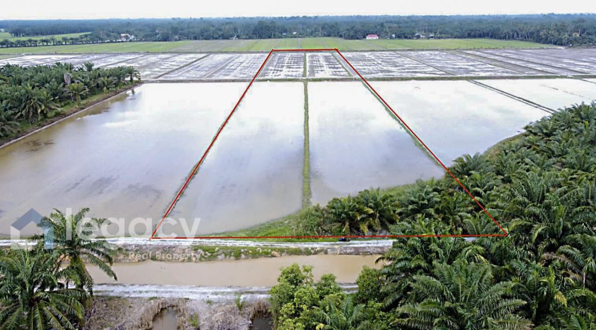 91349d78-cc82-4ccc-9288-90a77acb3578