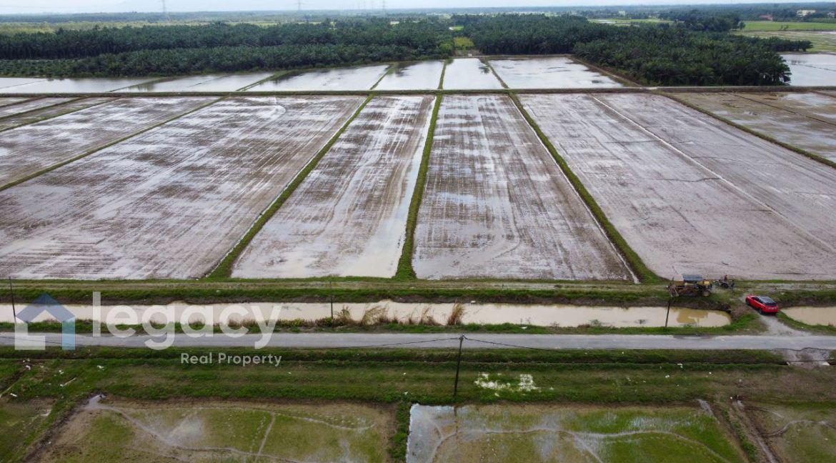 b4e607eb-6d23-41c8-a846-bac3b98e9bf3