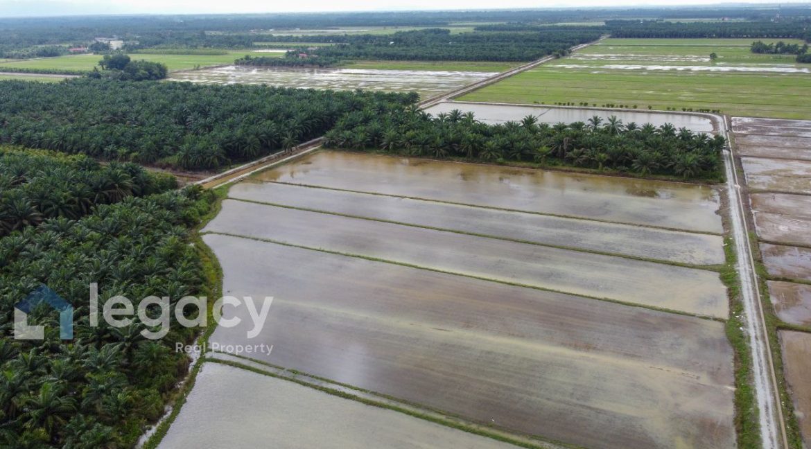 c834ba4b-b790-4c06-984b-835ef733cbca